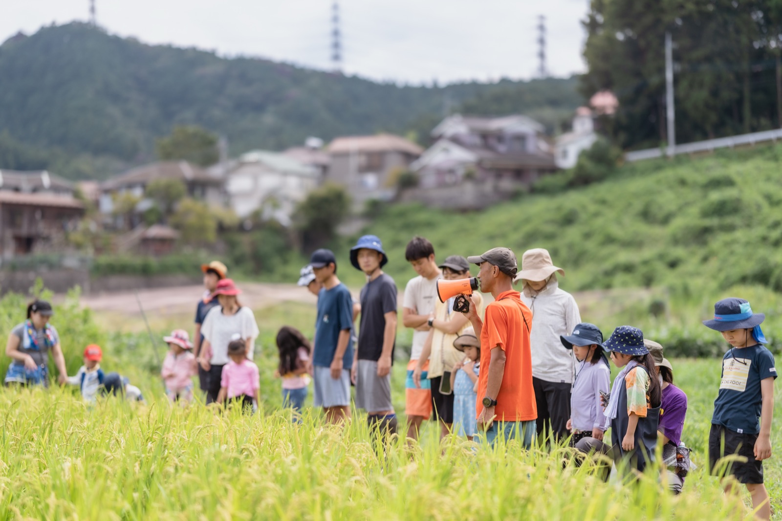 田んぼの間の道を親子が列になって歩いている遠景